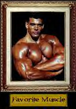 The Favorites Gallery: pages of various bodybuilders!